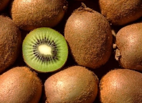 تصویر 4 از خرید و قیمت میوه کیوی برن + فروش صادراتی